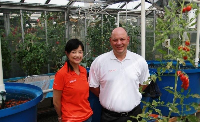 Jeff Meyer和Fei Weisstein在BGSU校园的温室里用水培鱼缸种植西红柿的照片